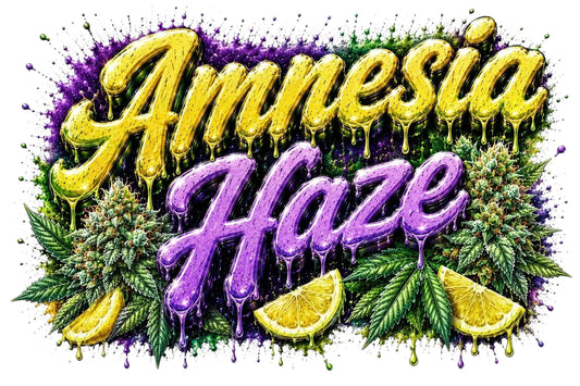 Amnesia Haze – Feminisiert