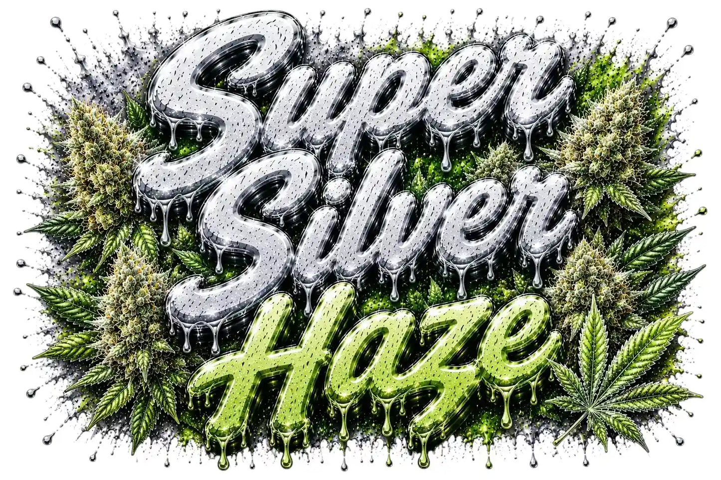 Super Silver Haze - Feminisiert