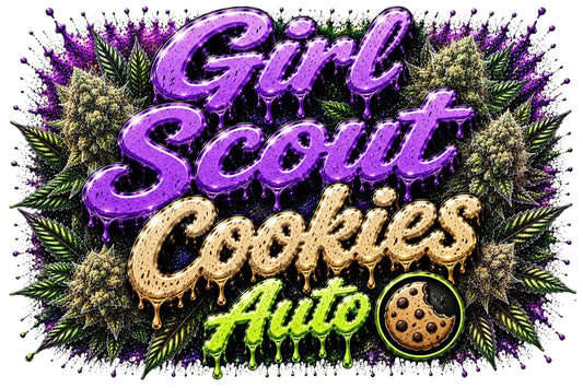 Girl Scout Cookies - Autoflower