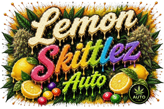 Lemon Skittlez - Autoflower