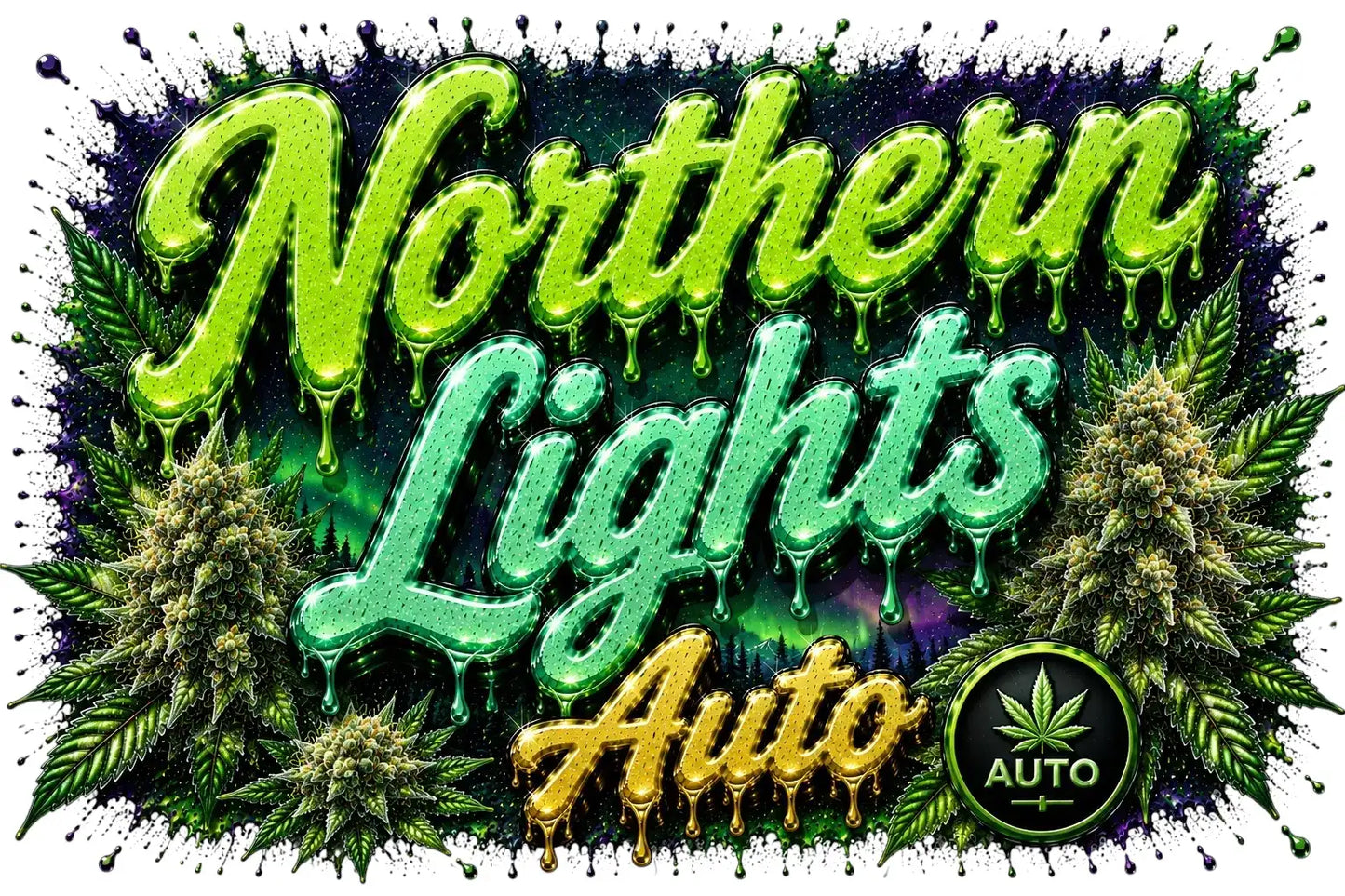 Northern Lights - Autoflower