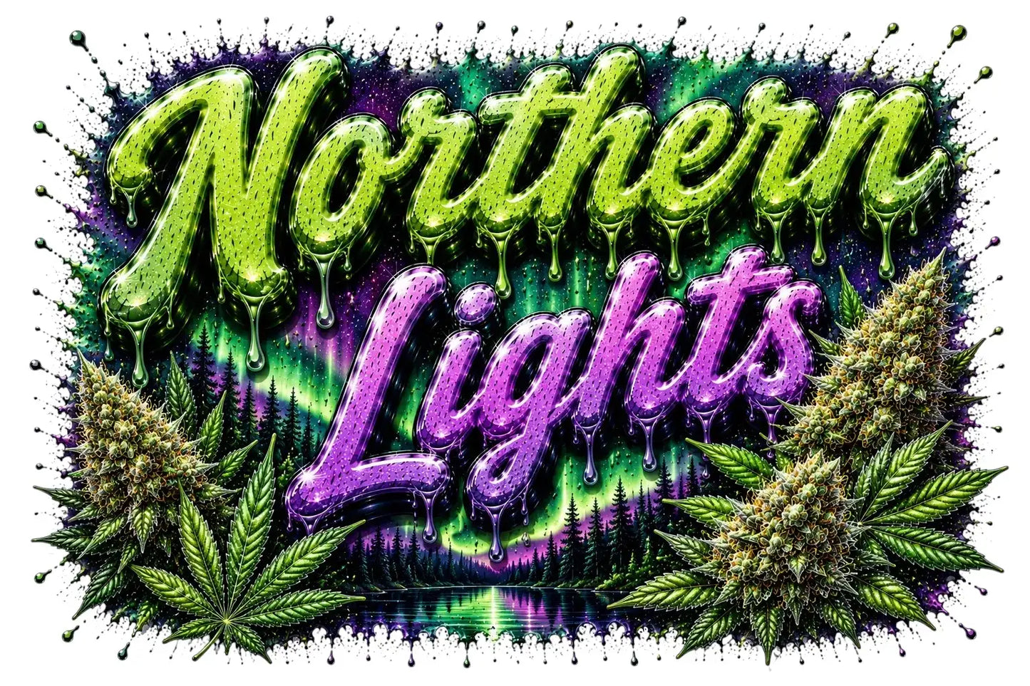 Northern Lights - Feminisiert