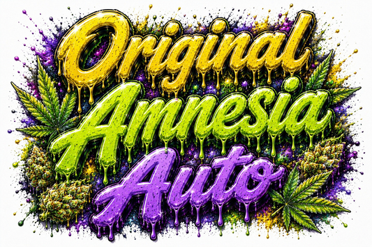Original Amnesia Auto