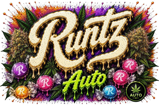 Runtz - Autoflower