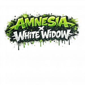 Amnesia x White Widow